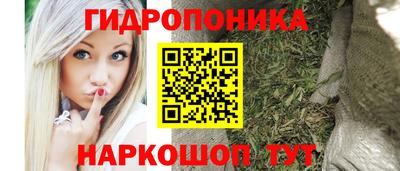 крисы Комсомольск-на-Амуре