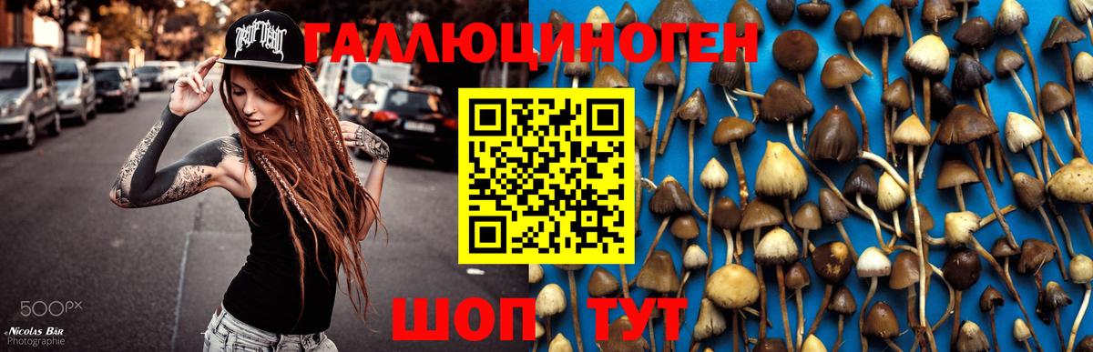 Галлюциногенные грибы ЛСД  Галлюциногенные грибы MAGIC MUSHROOMS  Вход с VPN  Куйбышев 